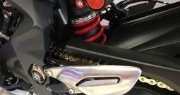 2015 Triumph Street Triple R 675 Model
