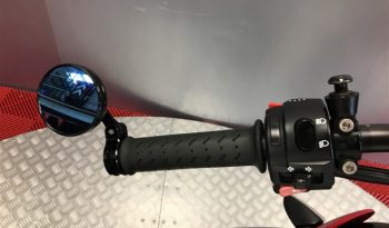 2015 Triumph Street Triple R 675 Model full