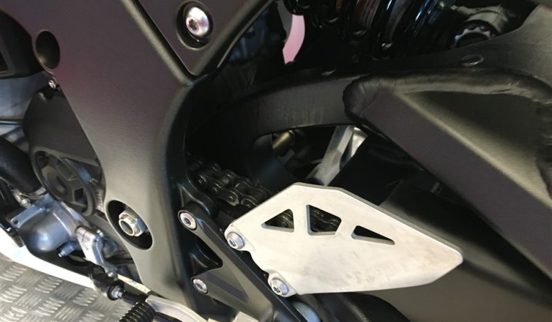 2021 Kawasaki ZX10R NINJA full