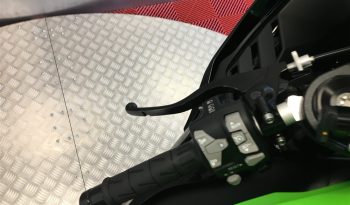 2021 Kawasaki ZX10R NINJA full