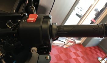 2024 Honda NT1100 full