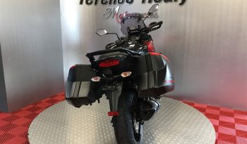 2019 Kawasaki Versys 1000 full