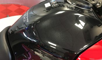 2019 Kawasaki Versys 1000 full