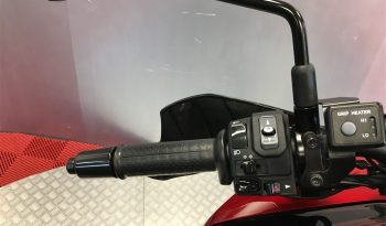 2019 Kawasaki Versys 1000 full