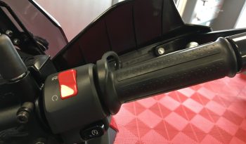 2019 Kawasaki Versys 1000 full