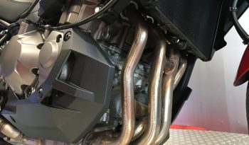 2019 Kawasaki Versys 1000 full