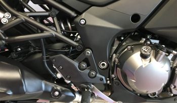 2019 Kawasaki Versys 1000 full