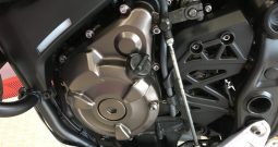2022 Yamaha Tenere 700