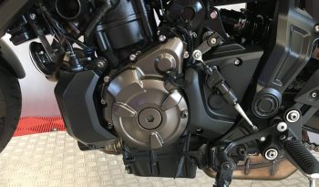 2024 Yamaha Tracer 7 GT full