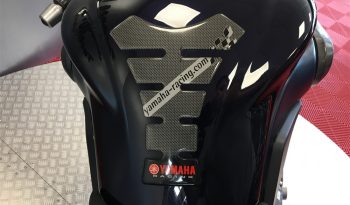 2007 Yamaha MT 01 full