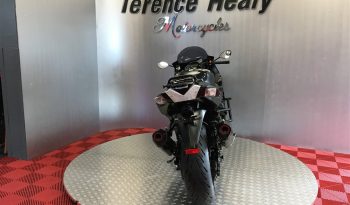 2020 Kawasaki ZZR1400 full