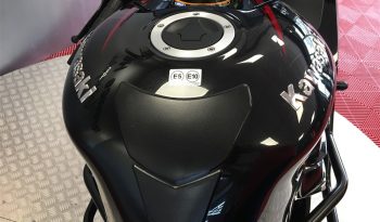 2020 Kawasaki ZZR1400 full