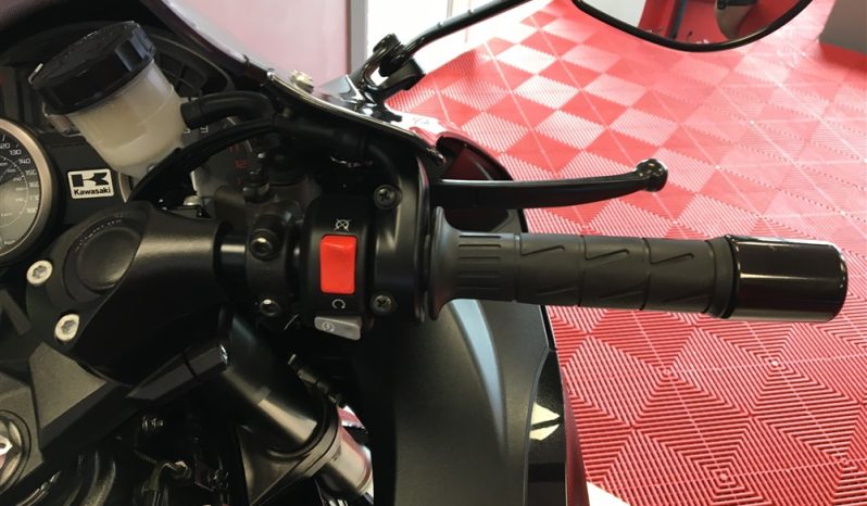 2020 Kawasaki ZZR1400 full