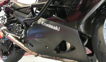 2020 Kawasaki ZZR1400 full