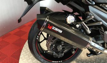 2020 Kawasaki ZZR1400 full