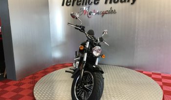 2021 Indian Scout full