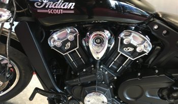 2021 Indian Scout full