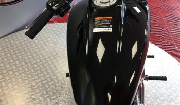 2021 Indian Scout full