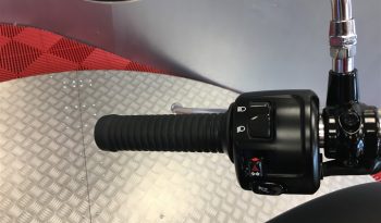 2021 Indian Scout full