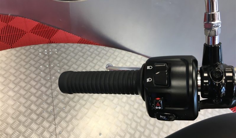 2021 Indian Scout full