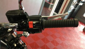 2021 Indian Scout full