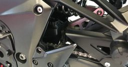 2021 Kawasaki Ninja Z1000SX