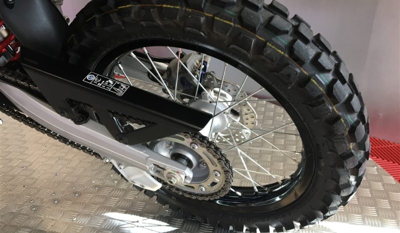 2025 Honda CRF 300 RALLY full