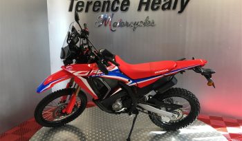 2025 Honda CRF 300 RALLY full