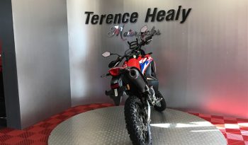 2025 Honda CRF 300 RALLY full