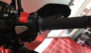 2025 Honda CRF 300 RALLY full
