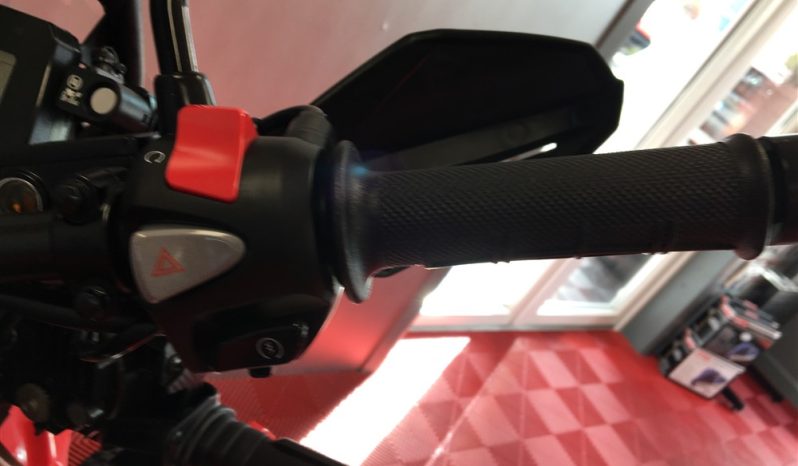 2025 Honda CRF 300 RALLY full
