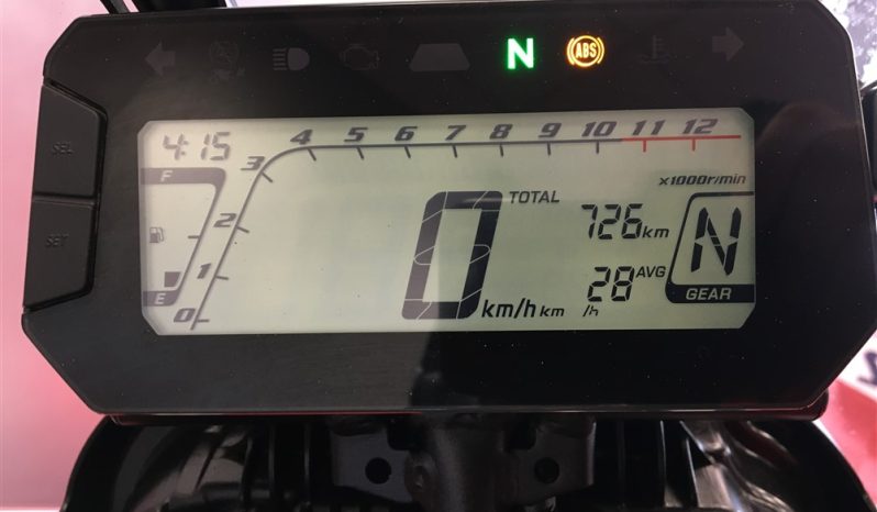 2025 Honda CRF 300 RALLY full