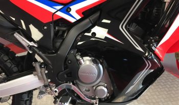 2025 Honda CRF 300 RALLY full