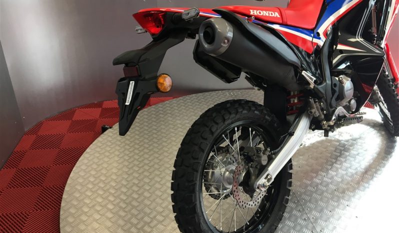 2025 Honda CRF 300 RALLY full