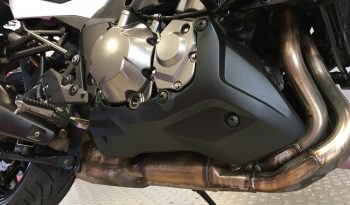 2020 Kawasaki Versys 1000 full