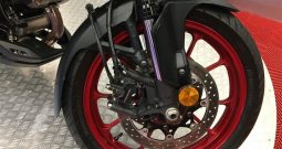 2025 Suzuki VStrom 1050
