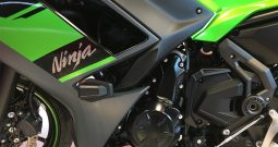 2024 Kawasaki Ninja 650