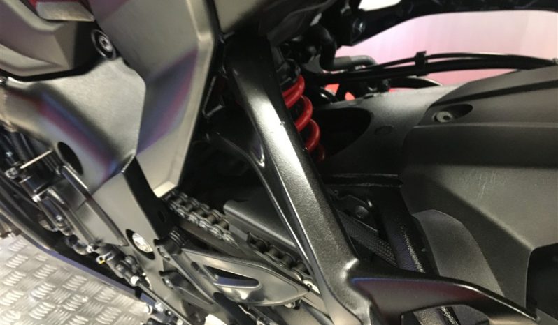 2020 Suzuki Katana full