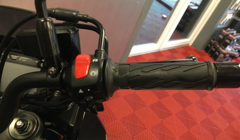 2020 Suzuki Katana full