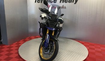 2023 Suzuki VStrom DL800DE full