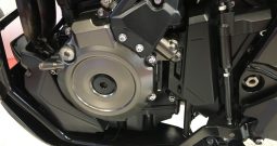 2023 Suzuki VStrom DL800DE