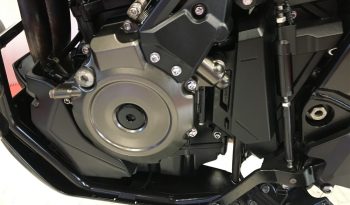 2023 Suzuki VStrom DL800DE full