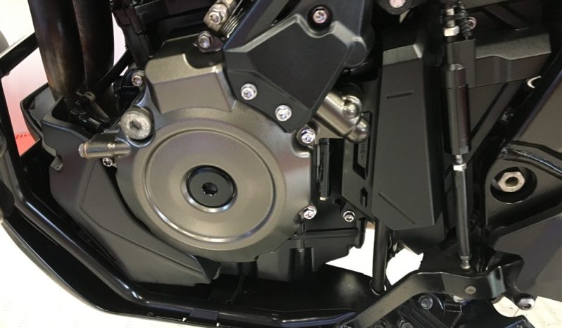 2023 Suzuki VStrom DL800DE full