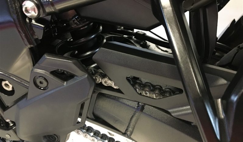 2023 Suzuki VStrom DL800DE full