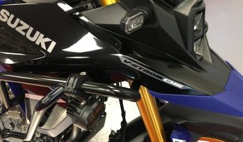 2023 Suzuki VStrom DL800DE full
