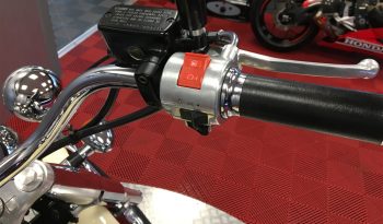 2002 Honda VT 750 Shadow full