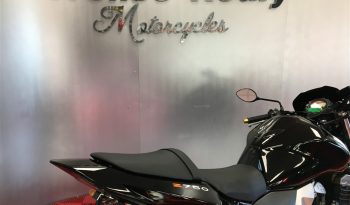 2006 Kawasaki Z750 full