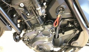 2025 Honda CMX1100 REBEL full