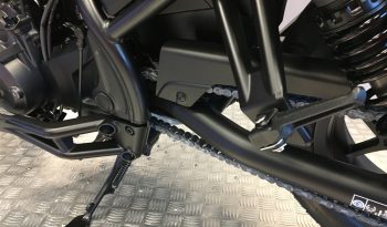 2025 Honda CMX1100 REBEL full