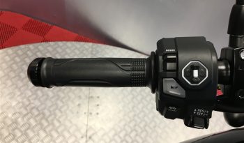 2025 Honda CMX1100 REBEL full